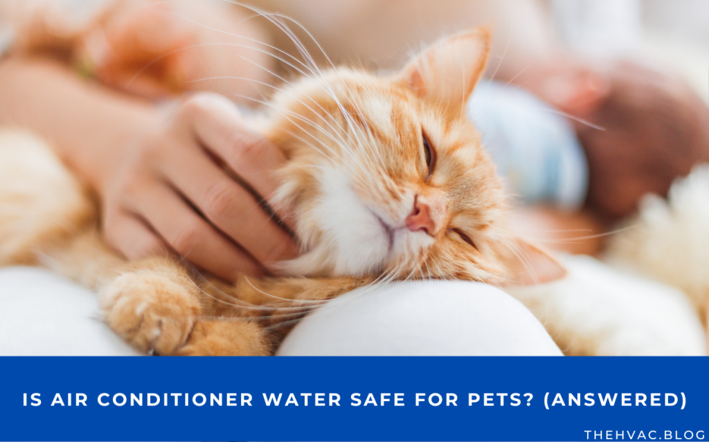 Is Air Conditioner Water Safe For Pets? (Answered) The HVAC Blog
